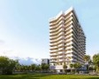 Cove Edition by Imti