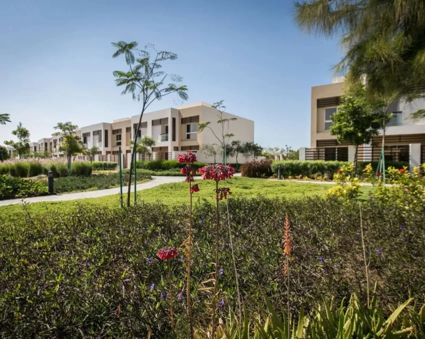 فلل فلامنغو